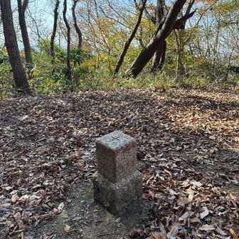 団子山山頂は三角点のみ△