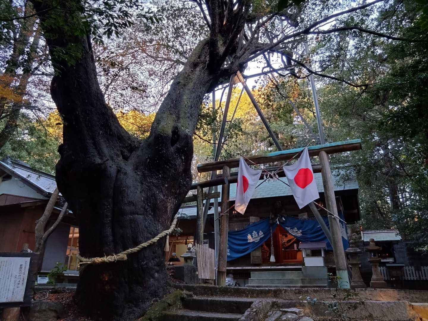 龍神山 往復コースの写真