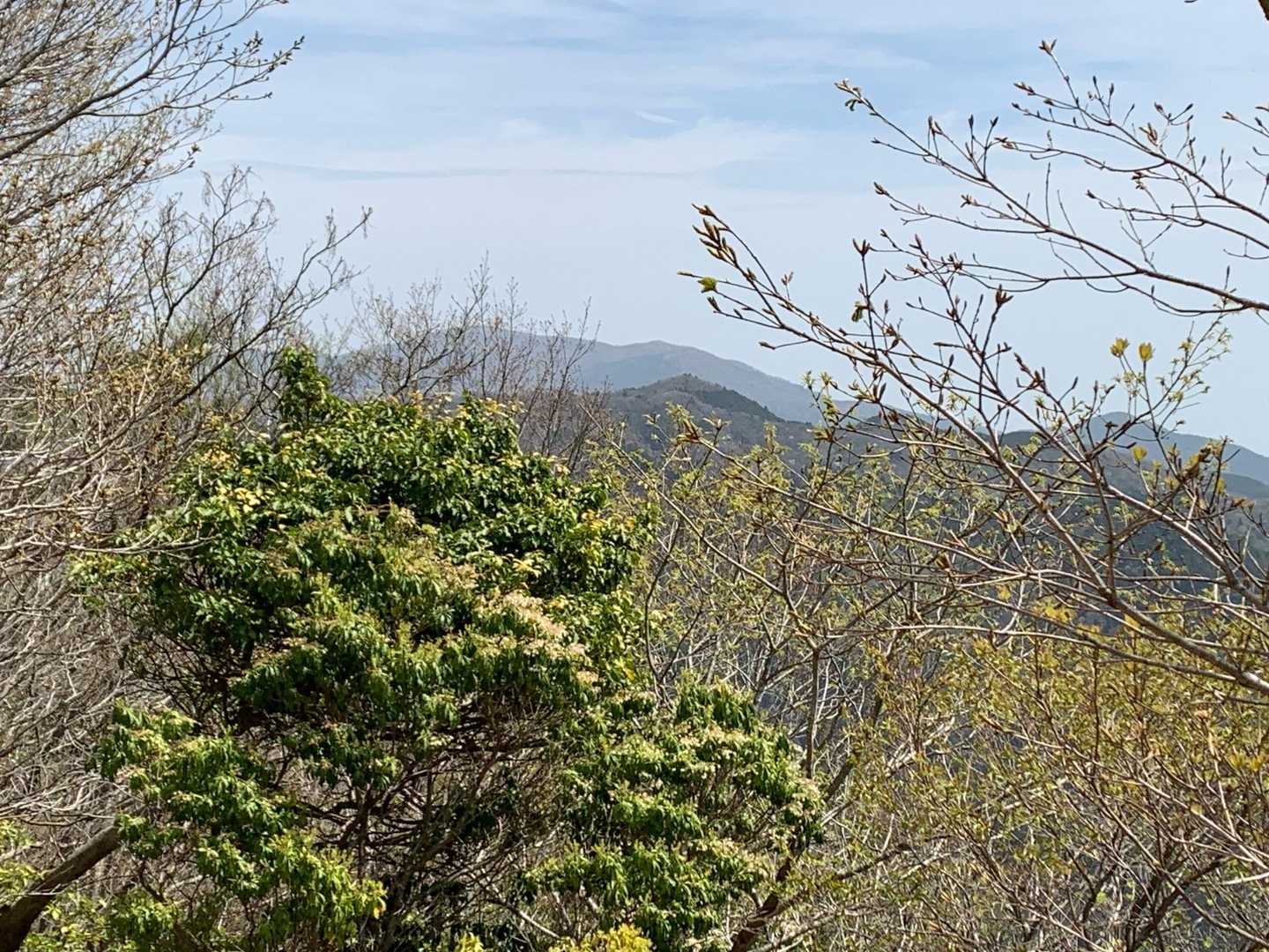 鉄塔の切り開きから眺める蓬莱山