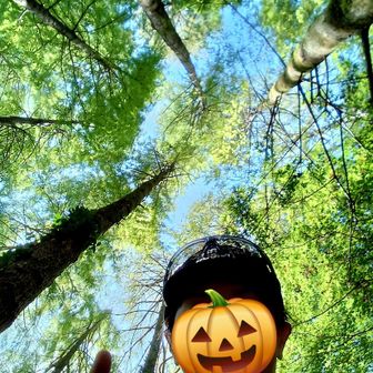 カブトムシの森🌳
毎年この場所の紅葉がとても素晴らしいんです🍁✨️
今年も楽しみ😊