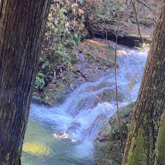 水量多目。昨日の雨の影響か？