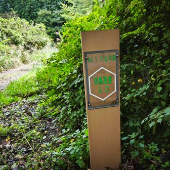キャンプ場🅿️下に案内板
初めて見るけど、新しい⁉️