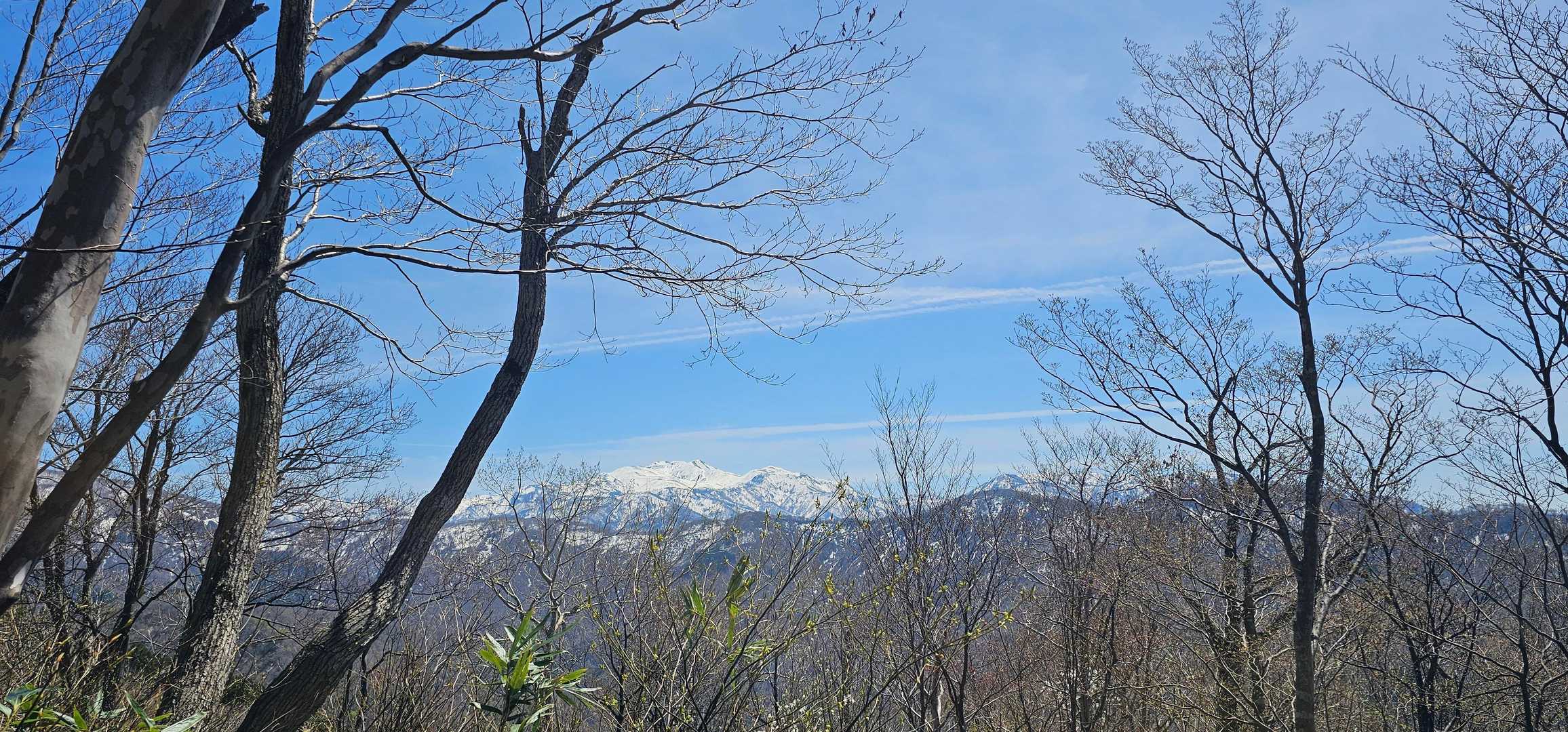 大恐山 往復コースの写真