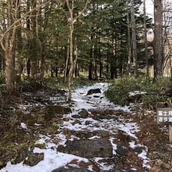 ありがと山でした⛰️