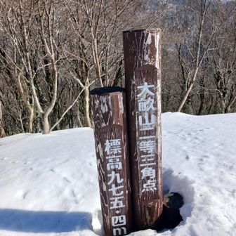 大畝山に着いた