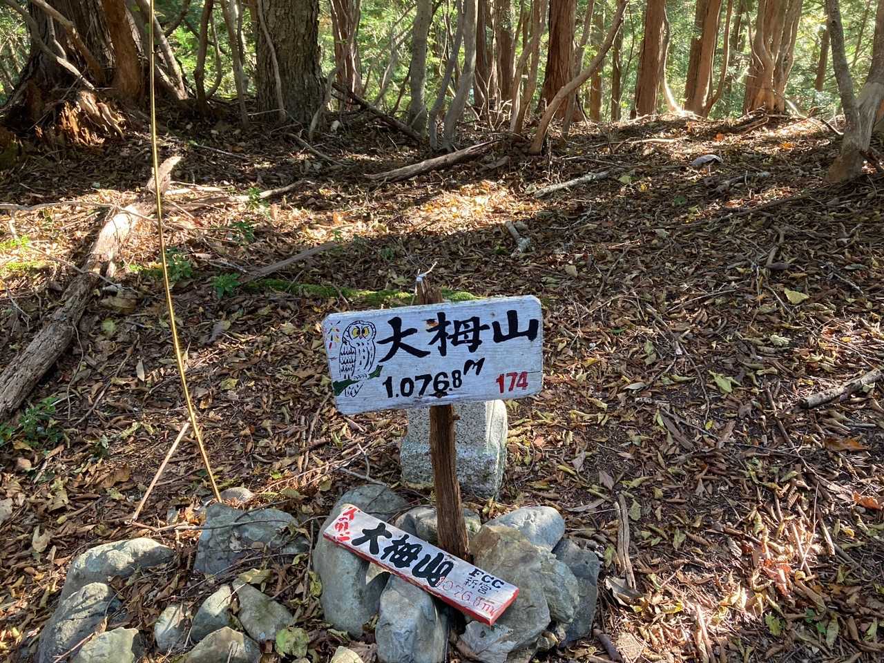 眺望なし