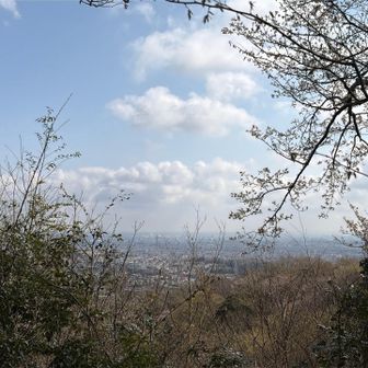 かろうじて眺望が望める場所ですね！椅子が設置しとあったので、しばしの休憩☕️
ベルギーワッフル🧇をいただきました😋