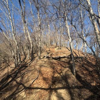 なかなかの急登を登りきり