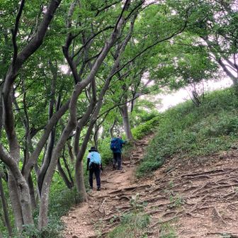 海側なので風が通ります