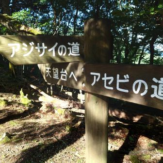 帰りは初めてのコース
“アジサイの道’’から帰ってみます（結果アジサイは一本も無かったです😆でもアジサイの道なんですね）