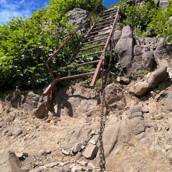 阿弥陀岳の垂直梯子
