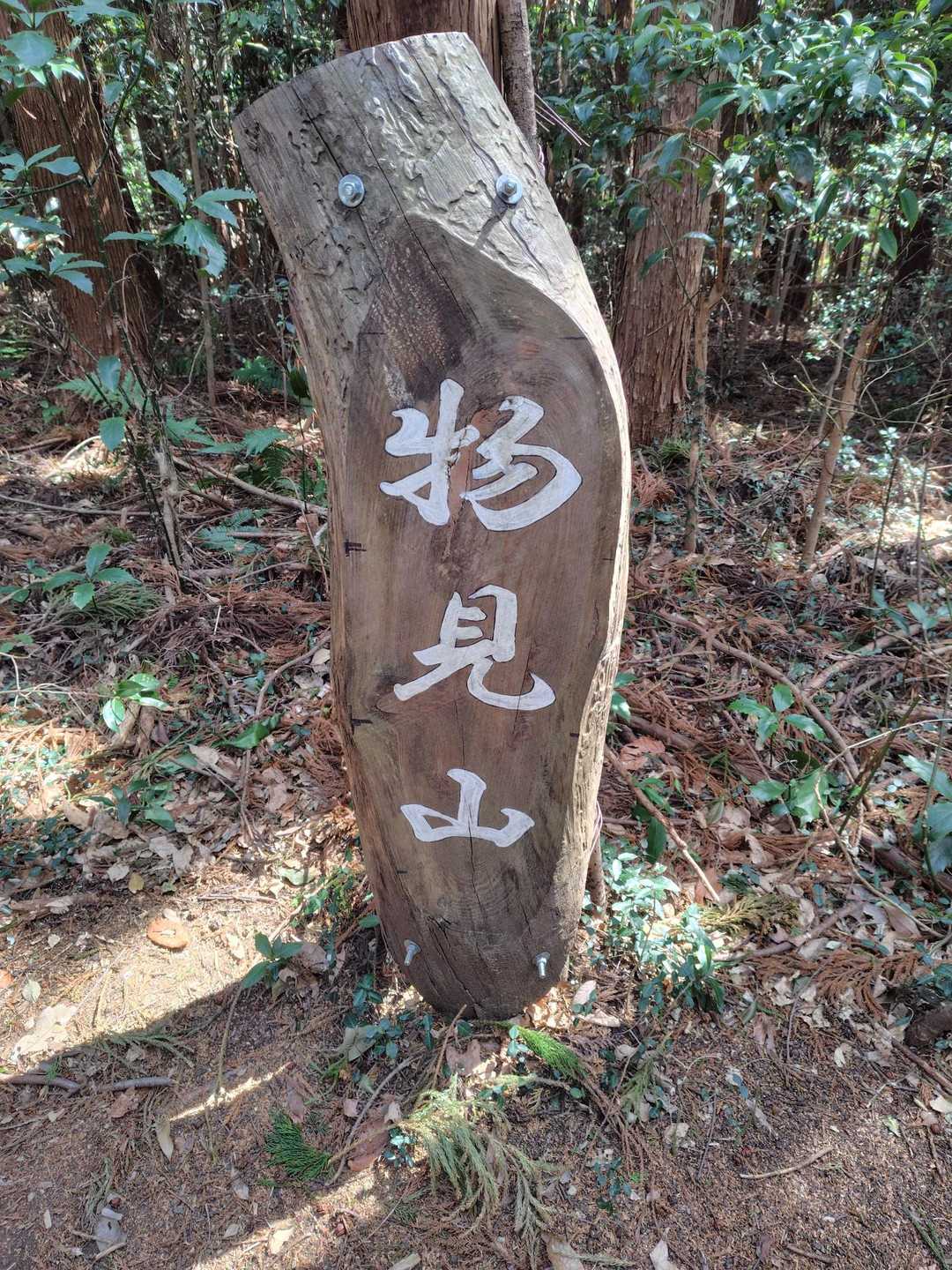 仙元山遊歩道入口-仙元山-城山-大日山-物見山-仙元山遊歩 周回コースの写真