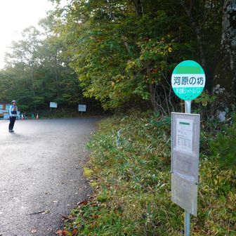 出発。登山口まで林道歩き