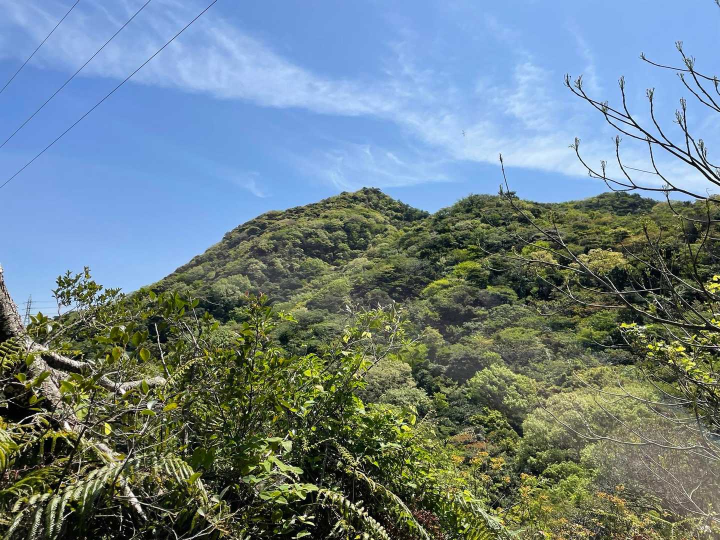 四王司山登山口-四王司山-勝山-田倉山 周回コースの写真