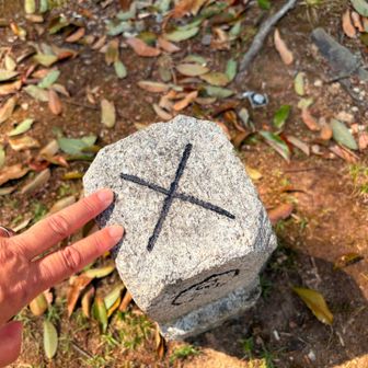 どっちが三角点？
こっちもタッチ✌