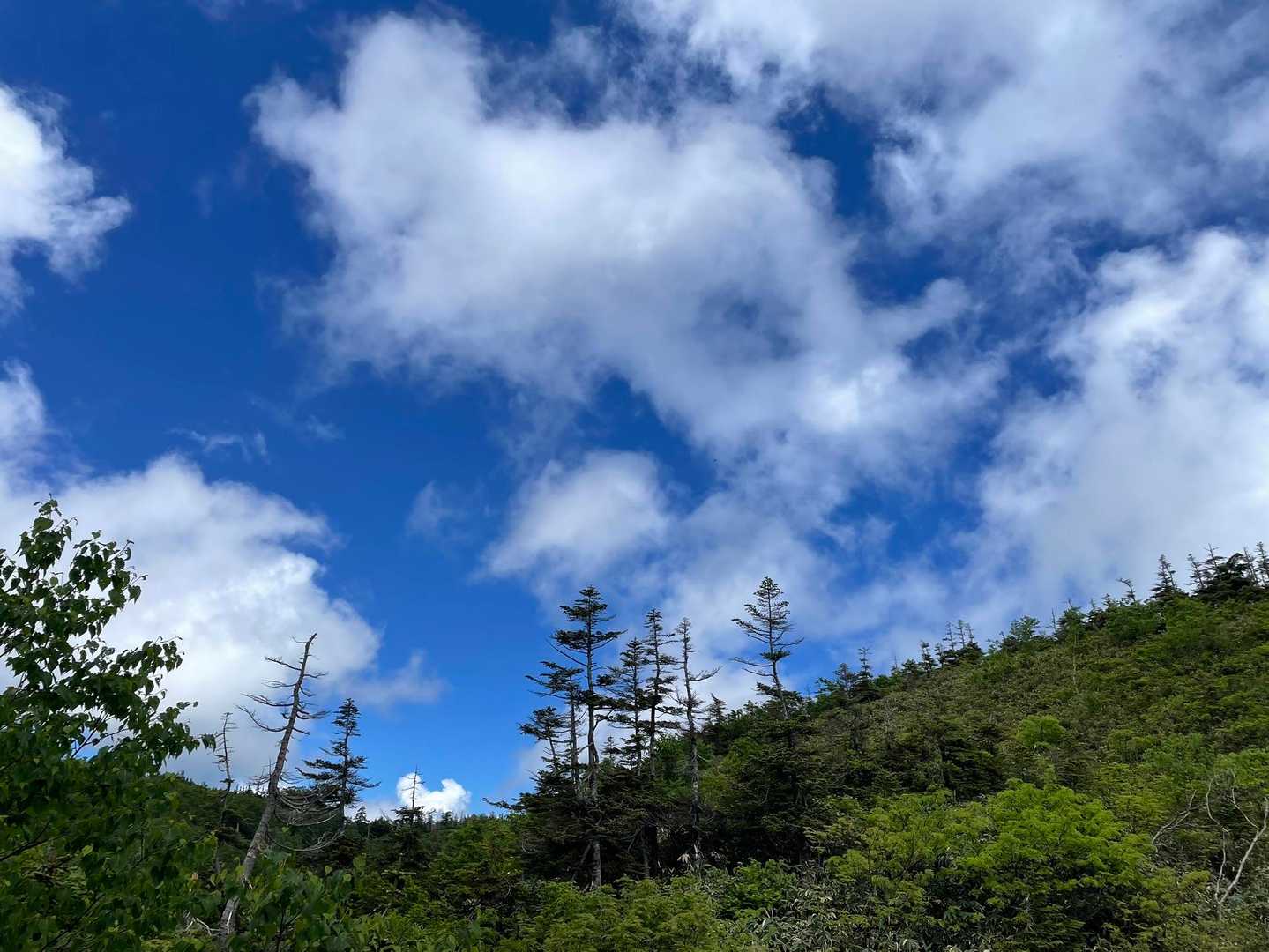風吹岳（風吹登山口）の写真