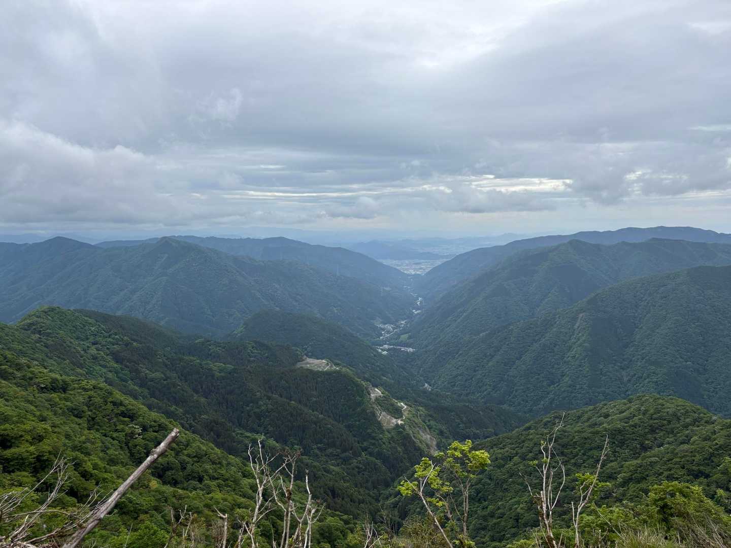 春日の景色