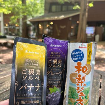 シャーベットが溶ける前にここで食べます