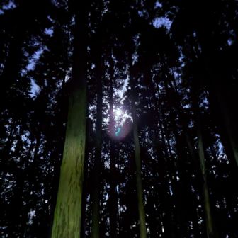 月灯を頼りに