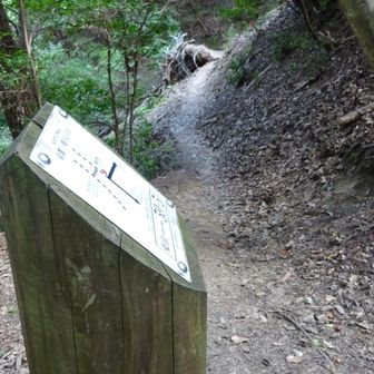 No.59-5
↑比叡山　　　→瓜生山
右折てす、真っ直ぐ行かないように
