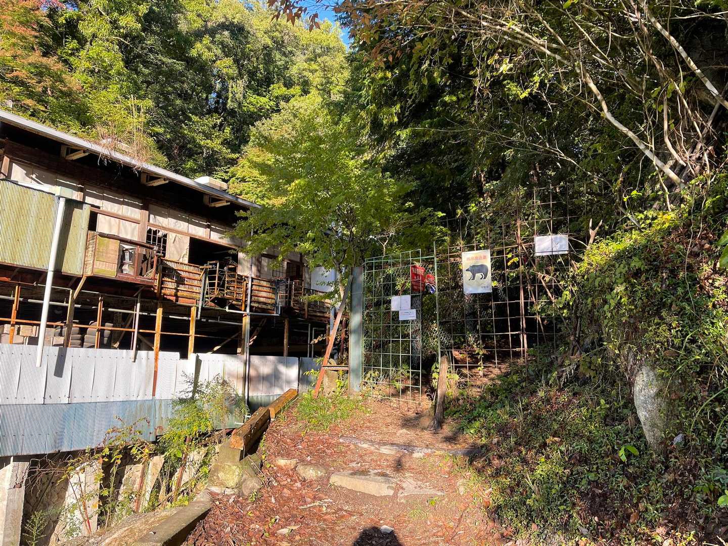 弥三郎岳・昇仙峡 | 花崗岩の白い巨石が連なる稜線と、日本五大名峡随一の渓谷美の写真
