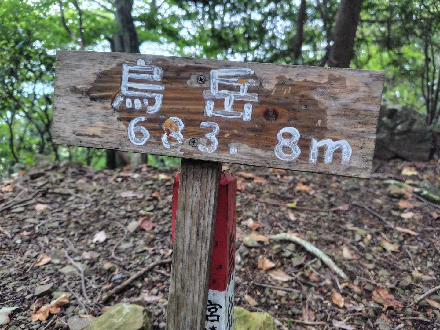 低山だが　手強い😡
