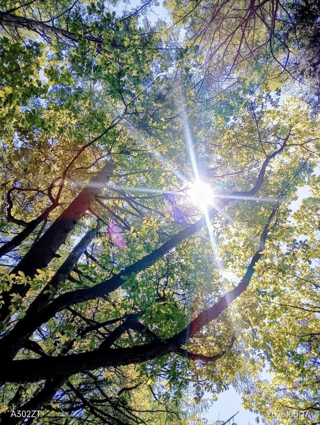 キラキラして綺麗〜💚✨