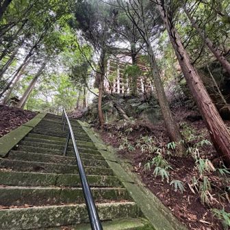 前に来たときは工事中で足場とシートで囲われて全く見えなかった本堂
