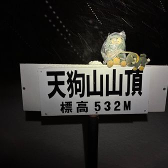 トウチョ🐶
🐰🐾迷走トレースありがとう🤣