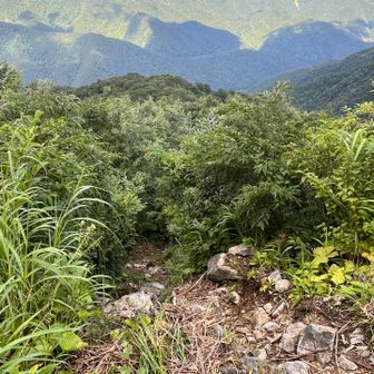 登ってきた登山道を振り返る