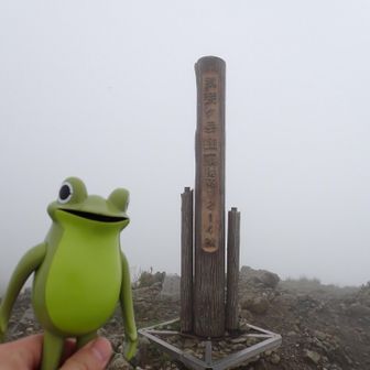 登頂しました