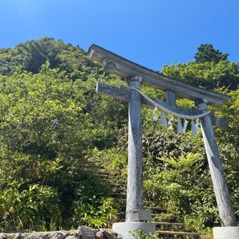 みなさん写真を撮っています