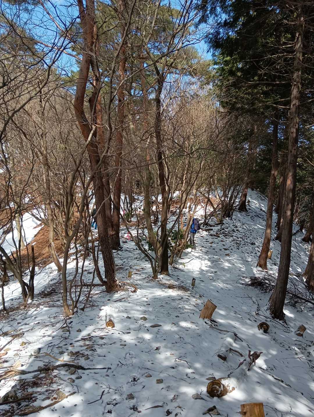 雪の道になって来て、楽しんでます。