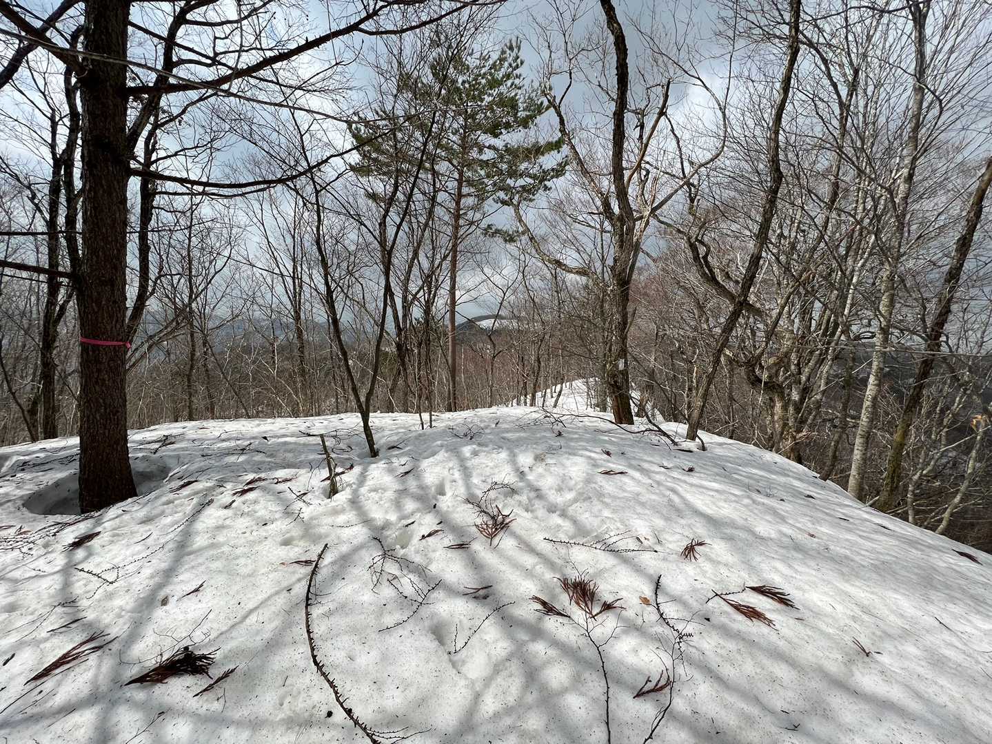 高鉢山（秋田県仙北市田沢湖田沢）の写真