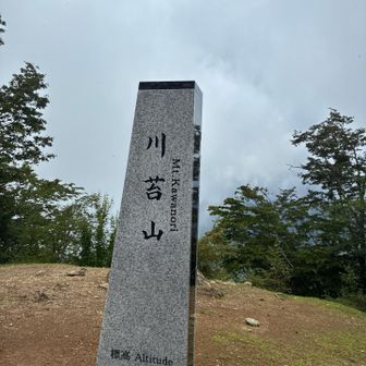こういうのあると登った感ある😀人もいっぱい