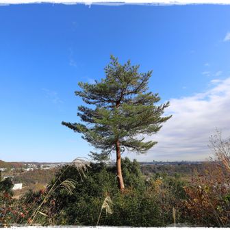 これまで見てきたところと比べると、そんなに眺望が良いわけでもない。