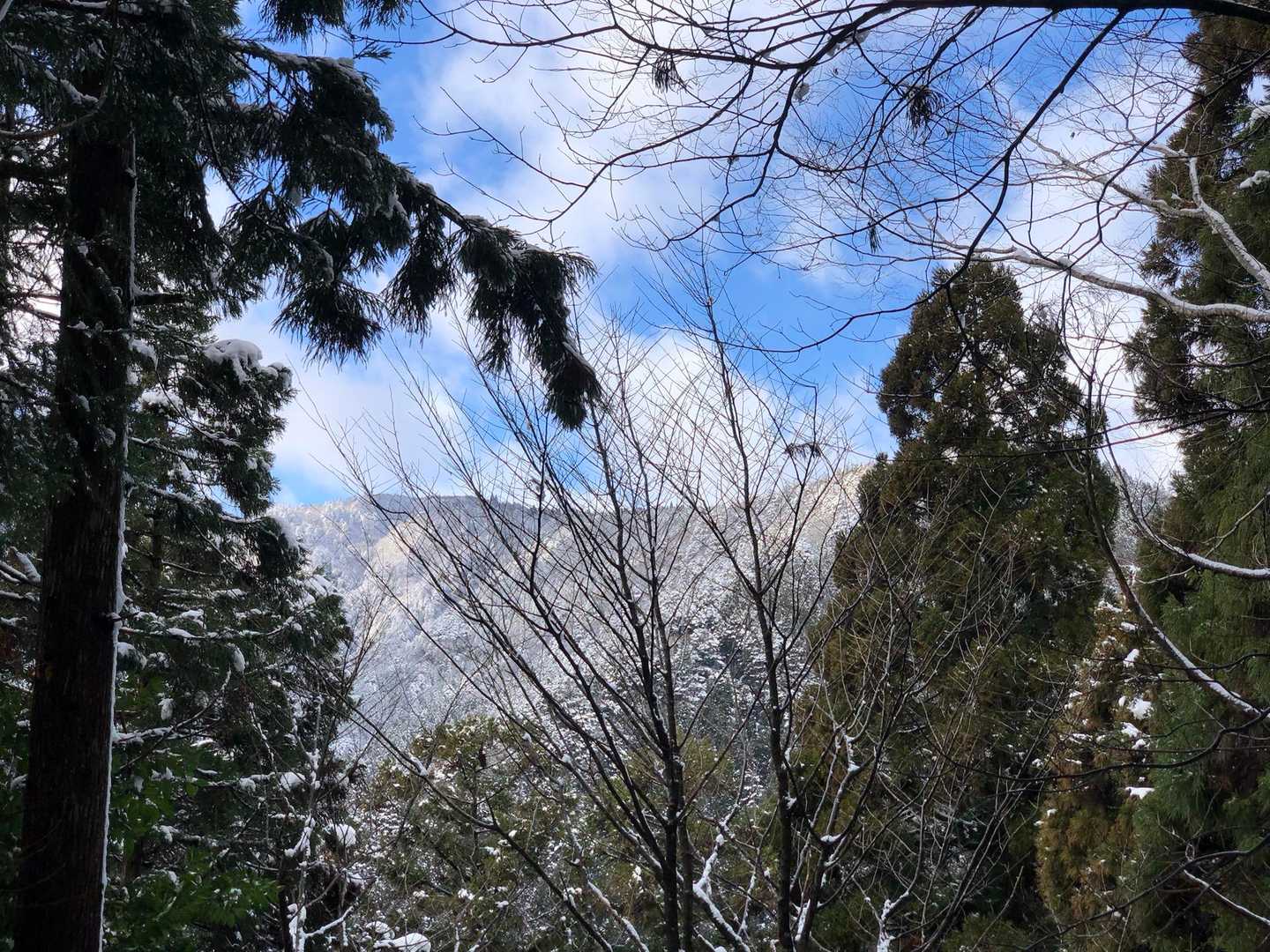 坊村バス停-坊村登山口-御殿山 往復コースの写真