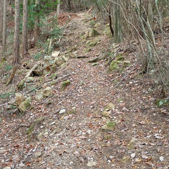 大嶽山への最後の登り…つづら折れの道となっているのが良く分かります
