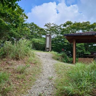 ここご山頂