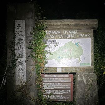 ヘッデンで照らして撮ると真夜中チック