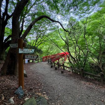 赤い橋を渡ると生駒山に行けるみたい
涼しい時に来よう😊