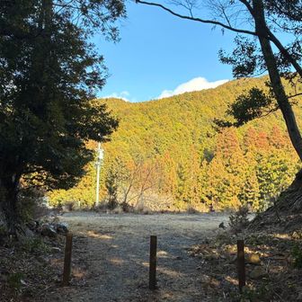 いい運動でした〜🤩