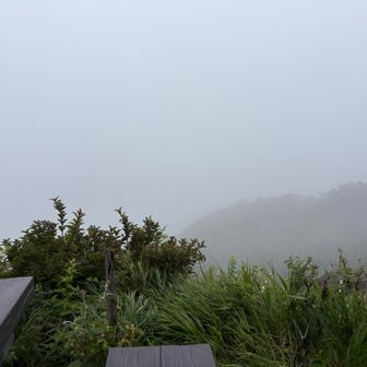 真っ白しろ〜😶‍🌫️