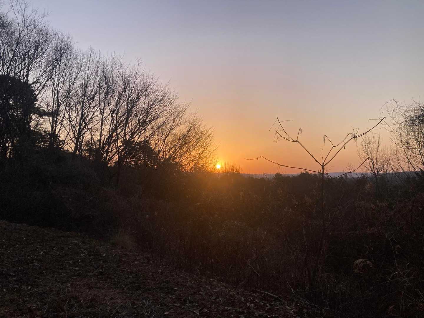 開けたところから日の出が見えた✨
地元の低山でこんなに気合い入った時間に来るのは初めてだ☺️