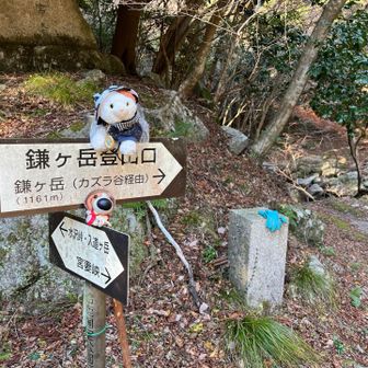 今日は宮妻峡から水晶山と入道ヶ岳へ行くよー！
