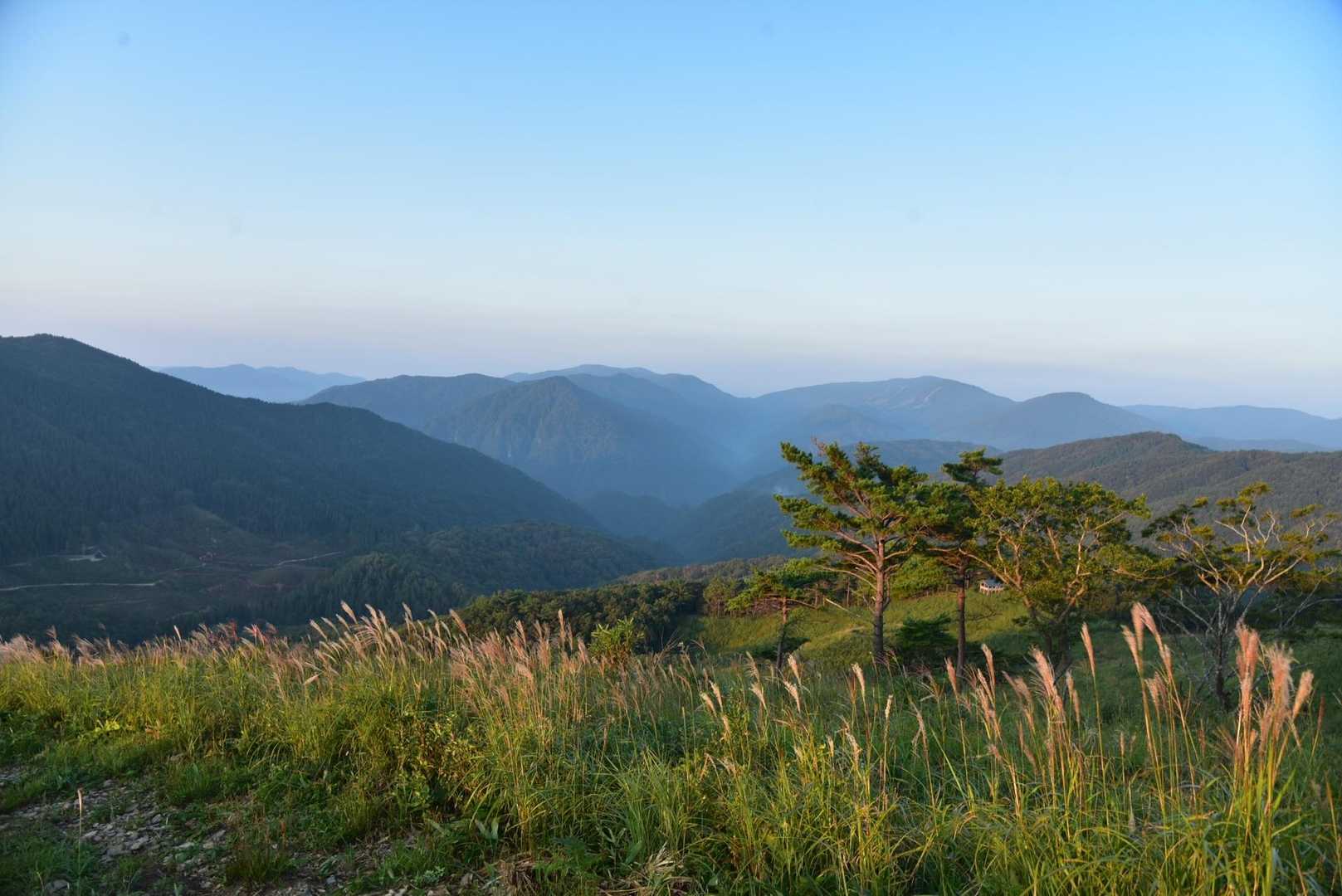 南登山口-深入山 往復コースの写真