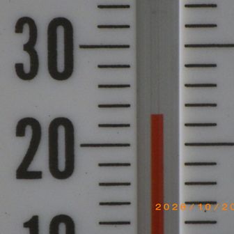 気温は日々低くなってきてる。