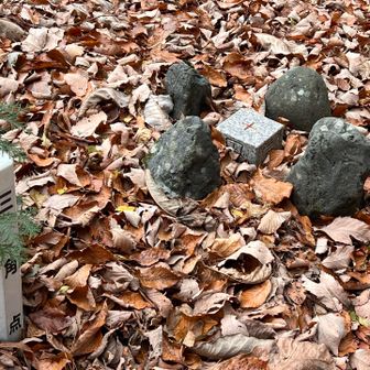 🔺堂山の三角点
さあ🚶戻るよ