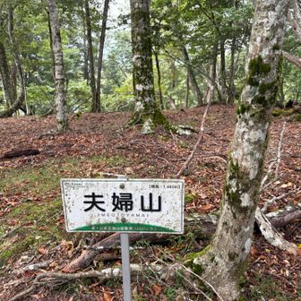 着いた。六座目