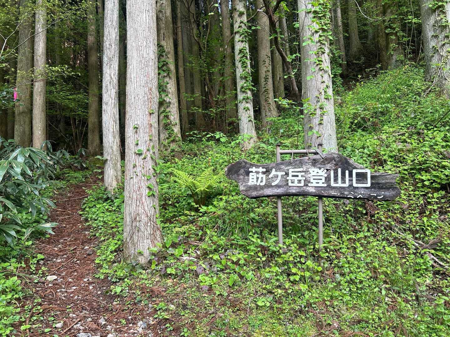 前と同じルートでお登り開始